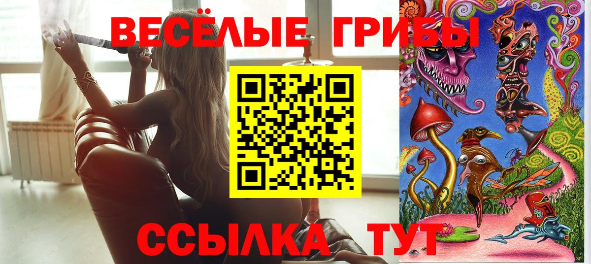 Псилоцибиновые грибы Psilocybe  Вход с VPN  Уварово  Псилоцибиновые грибы Psilocybe 